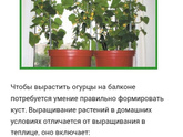 Девочки кто разбирается