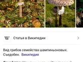 Вопрос к любителям лесных грибов