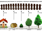 Сзади нашего участка, вплотную