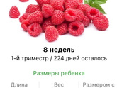 8 недель .