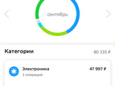 Девушки, кто-нибудь вёл бюджет