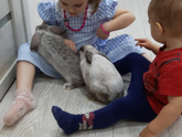Питомцы 🐈🐕🐇🦜🐠🐢🐁