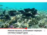 Позднее отучение от соски,