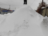 5.01.2023 г. Рубцовск.