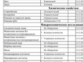 Анализы