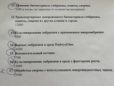 ЭКО (заморозка эмбрионов)