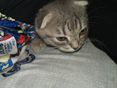 Вот на что меня