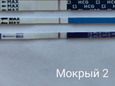 10 дпо. Хоть бы мои 🙏