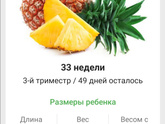 33 недели