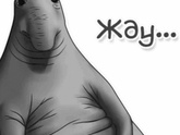 Шевелюшки😍 Может быть конечно