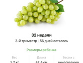 32 недели .