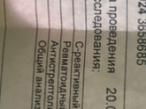 Белок в крови