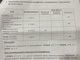 Генетические полимерфозы.Нарушения фолатного цикла
