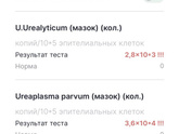 Уреаплазма и гарднелла