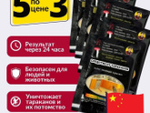 Тараканы в квартире 😳😨
