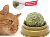 Все, потеряли мы кота...