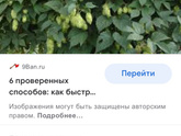 Огородницы ???
