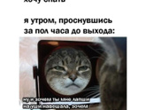Блин, смешная картинка))))сейчас с