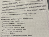 Нашли 🐣