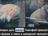 Елочка из мишуры