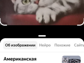Что за порода?
