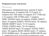 Хгч 389