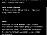 Анализ