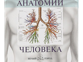 Я снова с книгами