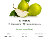 17 недель .