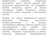 38 недель.