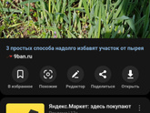 Началось огородное время и