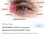 Девочки у сына в