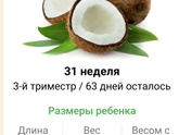 31 неделя🤰🏼