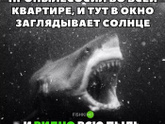 Не могу не поделиться