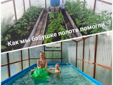Джек Рассел и бассейн