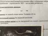 УЗИ 7-8 недель