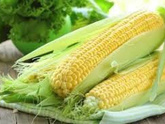 Кукуруза початок