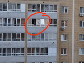 Мамы котиков и высота с подоконником