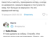 У нас травят собак бродячих