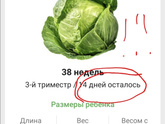 38 ✅