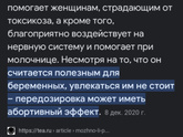 Ромашка в 1 триместре