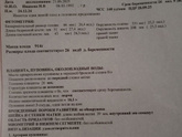 Узи 25 нед. 4 дн.