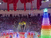 Цирк 🤡🎪