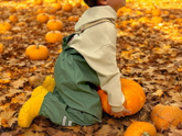 Осень и тыква 🎃