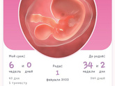 Нам сегодня 6 недель.