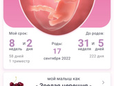 Уже 8 недель беременности.