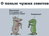Фотография 2021-01-26 14:04:03