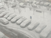 Апрель, ты в своем уме?