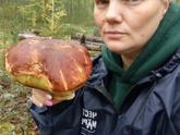 Дом, милый дом...