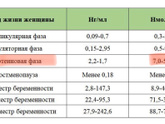 Что информативнее УЗИ или
